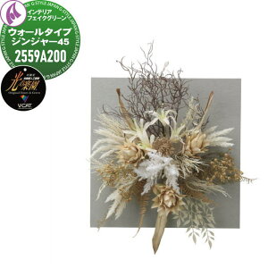 �y���������T�Ώہz ���G�}�l�H�A�� ������ЃA�[�g�N���G�C�V���� �C���e���A �t�F�C�N�O���[�� �X�^�C���b�V���O���[�� �E�H�[���^�C�v�W���W���[45 2559A200 ���̊y�� ���L �R�� �h�� ��C