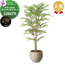 楽天市場】v－cat光触媒の通販