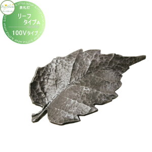 yTΏہz \D 和 fB[YK[f fB[YCg EH[EHbV[ [t ^CvA 100V^Cv ACA DSL0402  킢 Deas Garden