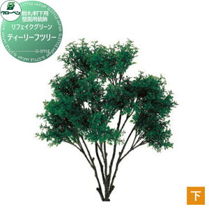 yTΏہz lHA O[x tFCNO[ eB[[tc[ ǖʗp/Ep A70ND406 i