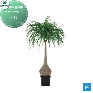 y|CgUPzyTΏہz lHA O[x tFCNO[ mi ؁Ep A70TN162 i