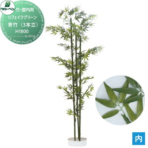 yTΏہz lHA O[x tFCNO[ |i3{j@H1800 |/|[tEp A70NT058 i