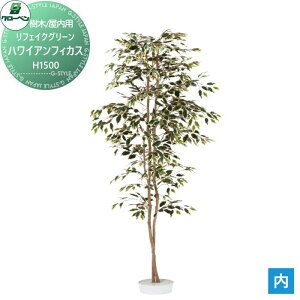 y|CgUPzyTΏہz lHA O[x tFCNO[ nCAtBJX@H1500 ؁Ep A70ND065 i