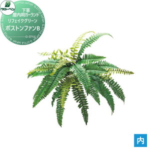 y|CgUPzyTΏہz lHA O[x tFCNO[ {Xgt@B ؁EpK[h A70NC105 i