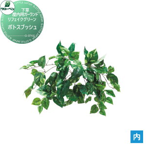 y|CgUPzyTΏہz lHA O[x tFCNO[ |gXubV ؁EpK[h A70NS504 i