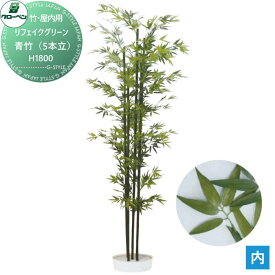 人工植物 グローベン リフェイクグリーン 青竹（5本立）　H1800 竹/竹リーフ・屋内用 A70NT068 完成品