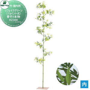 yTΏہz lHA O[x tFCNO[ |1{@H2300 |Ep A70NC012C i