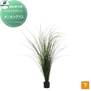 yTtz lHA O[x tFCNO[ IjIOX ؁Ep A70TN545 i