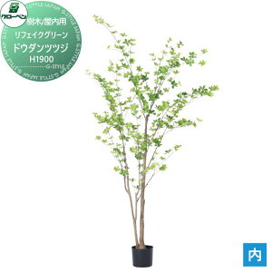 y|CgUPzyTΏہz lHA O[x tFCNO[ hE_ccW@H1900 ؁Ep A70TN119 i