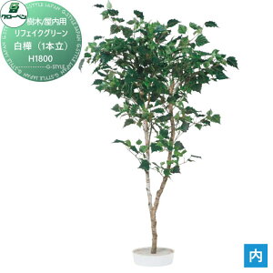 y|CgUPzyTΏہz lHA O[x tFCNO[ i1{j@H1800 ؁Ep A70NS868 i