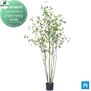 y|CgUPzyTΏہz lHA O[x tFCNO[ hE_ccW@H2100 ؁Ep A70TN121 i