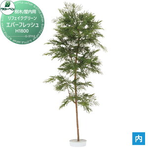 y|CgUPzyTΏہz lHA O[x tFCNO[ Go[tbV@H1800 ؁Ep A70ND518 i