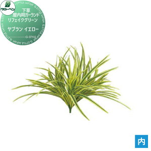 y|CgUPzyTΏہz lHA O[x tFCNO[ u@CG[ ؁EpK[h A70NS614 i