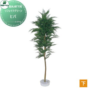 y|CgUPzyTΏہz lHA O[x tFCNO[ qo ؁Ep A70NS435 i