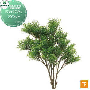 yTΏہz lHA O[x tFCNO[ cQc[ ǖʗp/Ep A70ND396 i