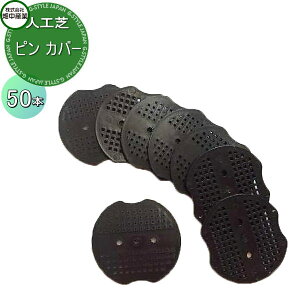 Y lHŐ sJo[ 50{ lHŐ Ή |  h΍