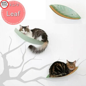 yTΏہz Jcf NeconoMa lRm} Leaf [t CeA L ybg   nEX 