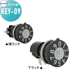 y|CgUPzWZ }V Ap[g X Ɩp  ANZT[ R[\jA _C KEY-09 KOWA SONIA