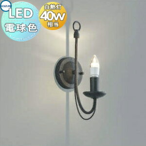 Ɩ  RCY~Ɩ KOIZUMI uPbgCg AB42148L STrFhnhyCgd AeB[NfUC dFEM40W Z[hʔ