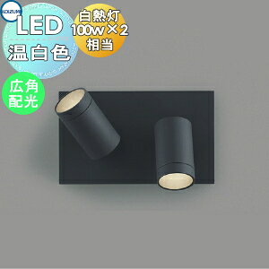 Ɩ  RCY~Ɩ KOIZUMI X|bgCg AB53965 F tW }bgubNh Lpz M100W×2