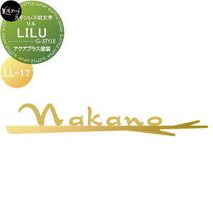 XeXؕ ZNtg LILU  ANAuXh LL-17-AQS