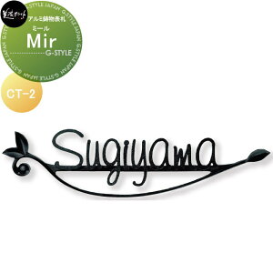 A~\D ZNtg Mir@~[ CT-2