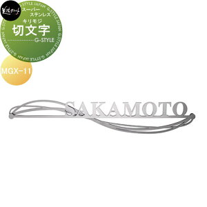 y|CgUPzX[p[XeX\D ZNtg [ؕ[ LW w^Cv MGX-11