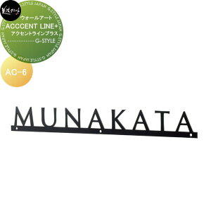 fXgV[Y@\D ZNtg ACCENT LINE+ ANZgCvX@IvV AC-6-