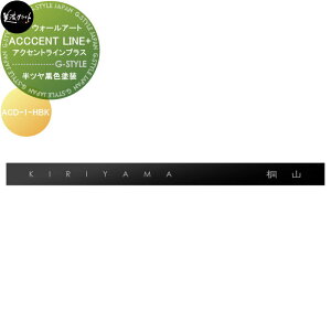 fXgV[Y@\D ZNtg ACCENT LINE+ ANZgCvX@IvV cFh ACD-1-HBK