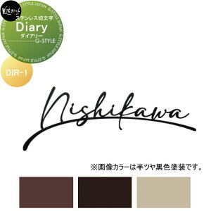 XeXؕ ZNtg Diary@_CA[ DIR-1-