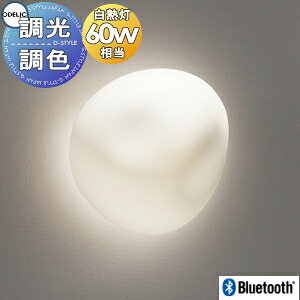 R̐΂̕s`Ȕ`[t Ɩ  I[fbN ODELIC uPbgCg OB255275BR ʐ KXPV BluetoothΉ@ dF?F FEM60W