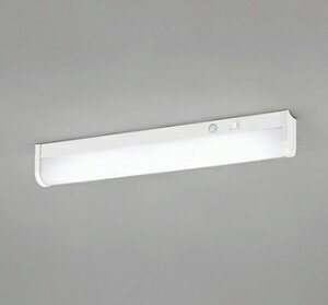 I[fbN ODELIC Lb`Cg 茳 OB555091R F lZTt 蓮XCb`t FL20W