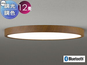 Ɩ  Cg I[fbN ODELIC tbgv[g pV[OCg OL291421BR ؒEH[ibgF ȈՎt^ F dF?F BluetoothΉ@ ?12 ψŔ