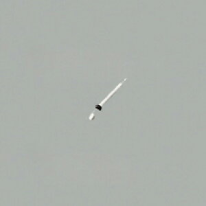 I[fbN ODELIC V[Ot@ IvV DC[^[t@V[Y WF611P1 }bgVo[F pCvmpCv݂pn F300mm ɂXΓV\