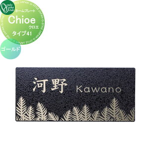 \D I[Nu Chloe NG S[h ^Cv41 HS1-CLGB-41 ˌ I[_[ I[ GNXeA