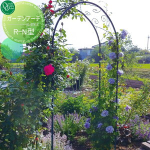 y11/04~|CgUPzyTΏہz K[fA[` K[fjO I[Nu K[fA[` R-N^ X`[ A[` JB3-35601 lEւ̔zs I[ GNX