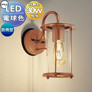 y|CgUPzGNXeA O Ɩ Cg I[fbNODELIC |[`Cg OG264022LC XeXibLFj LEDtBgv dF M30W hJ^ NVJȃIC