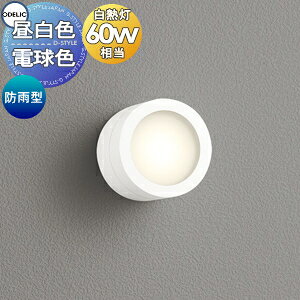GNXeA O Ɩ Cg I[fbNODELIC |[`Cg OG264062NR F OG264062LR dF ItzCgF LEDdtbg` hJ^M60W ǖʁEVʁEXΖʎtp 