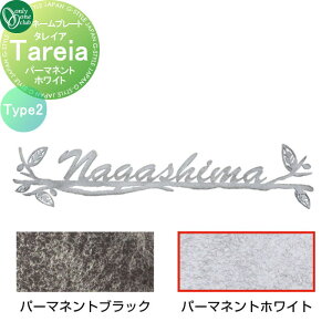 \D I[Nu ^CA Tareia Type2 p[}lgzCg AG1-THA02Q ˌ I[_[ I[ GNXeA