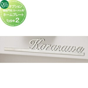 y10/25|CgUPzIvV I[Nu J[p l[v[g type2 Piws NA1-CRONP2 I[ GNXeA