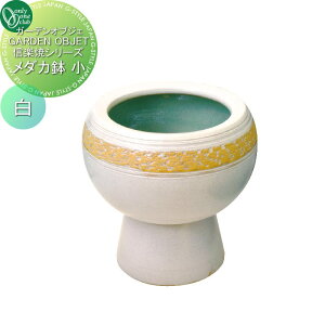 yTΏہz I[Nu _J @ MZ3-041 I[ GNXeA