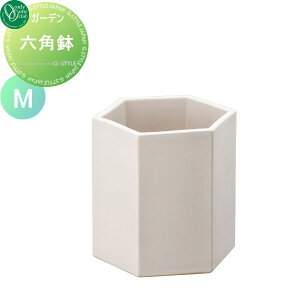 yTtz v^[ I[Nu Zp `^}bg M HEXAGON POT A Ԓd  K[fjO I[ GNXeA