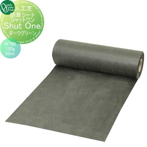 yTΏہz lH I[Nu hV[g Vbg@_[NO[@150g/[g@W700@50m KV2-GB07J I[ GNXeA