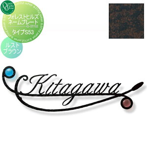 \D ACA I[Nu tHXgqYl[v[g ^CvS53 XguE NA1-S53RB ˌ I[_[ I[ GNXeA