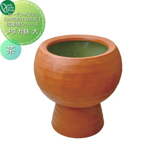 yTΏہz I[Nu _J @ MZ3-042 I[ GNXeA