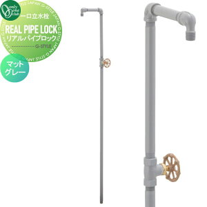 yTΏہz I[  ApCvbN }bgO[ GM3-RP-MG O   A ANZg N[ Vv  fUC _  X^CbV R