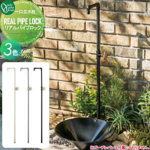 yTΏہz I[  ApCvbN 3J[ GM3-RP- O   A ANZg N[ Vv  fUC _  X^CbV REAL 