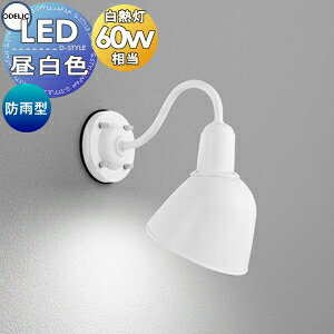 GNXeA O Ɩ Cg I[fbNODELIC |[`Cg OG254675NR Be[W re[W AeB[N g uPbgCg ֓ 和 ItzCgF LED F