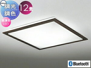 I[fbN ODELIC FV[OCg OL251625BCR ؍ރG{j[uEF FLED dF?F cotی`|V[Ot BluetoothΉ@ ?12 VR؃t[̃X^_[h