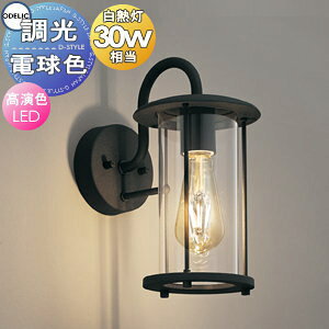 �Ɩ� ������� �I�[�f���b�N ODELIC �����u���P�b�g���C�g OB255345LC �d���F �|�i���F�`�a�~�j�K���X�i�����j ���M�����30W���� �N���V�J���ȃI�C�������^����f�i�Ƃ�����t�B�������g�����v